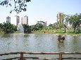 Goi&acirc;nia - Goi&aacute;s