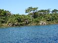 S&atilde;o Sim&atilde;o - Goi&aacute;s